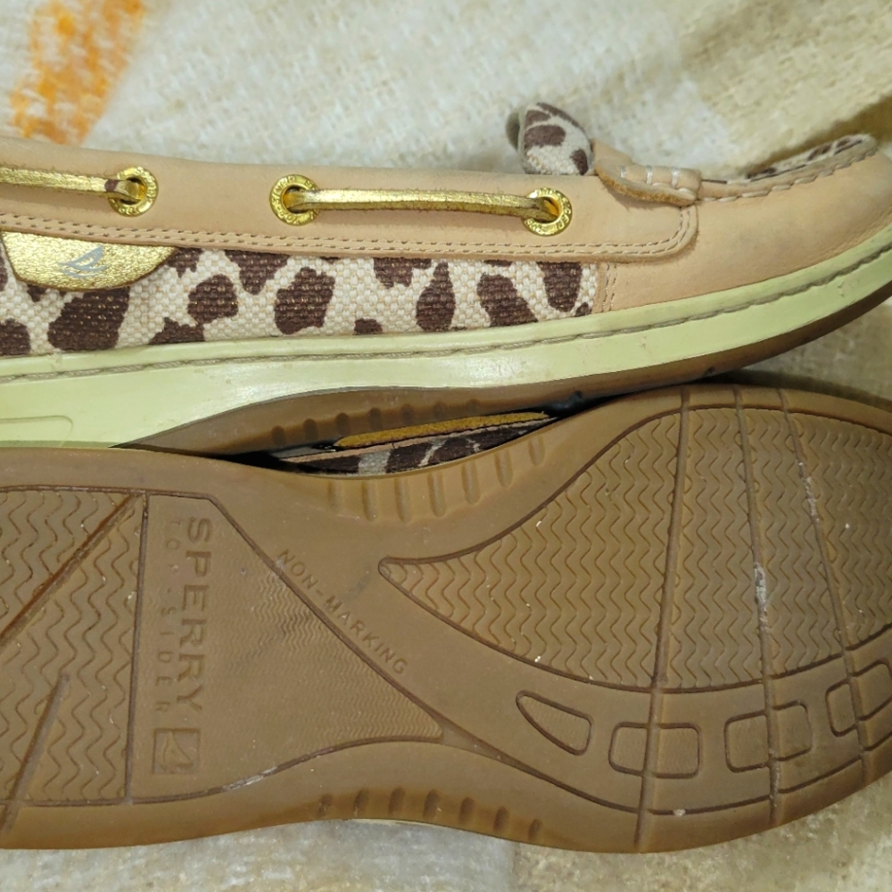 Sperry